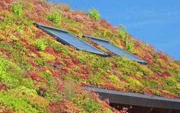 Heversham living roof systems